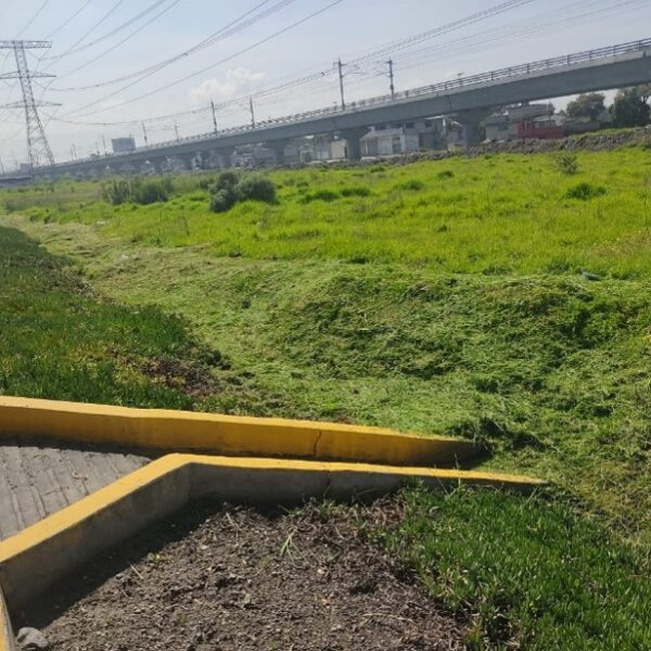 Imagen 15