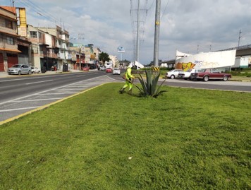 Imagen 7