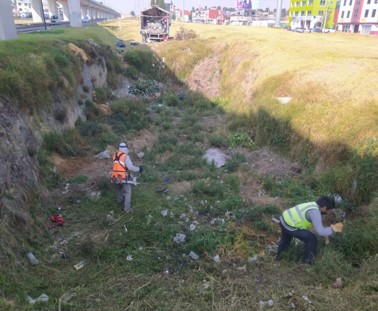 Imagen 9