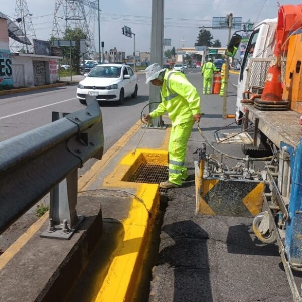 Imagen 11
