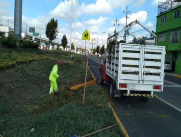 Imagen 8