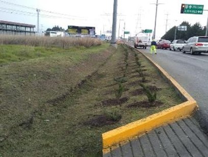 Imagen 6