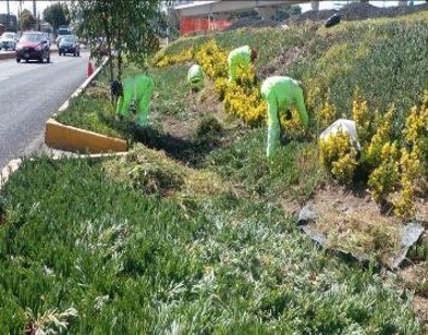 Imagen 7