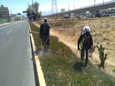 Imagen 8