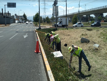 Imagen 5