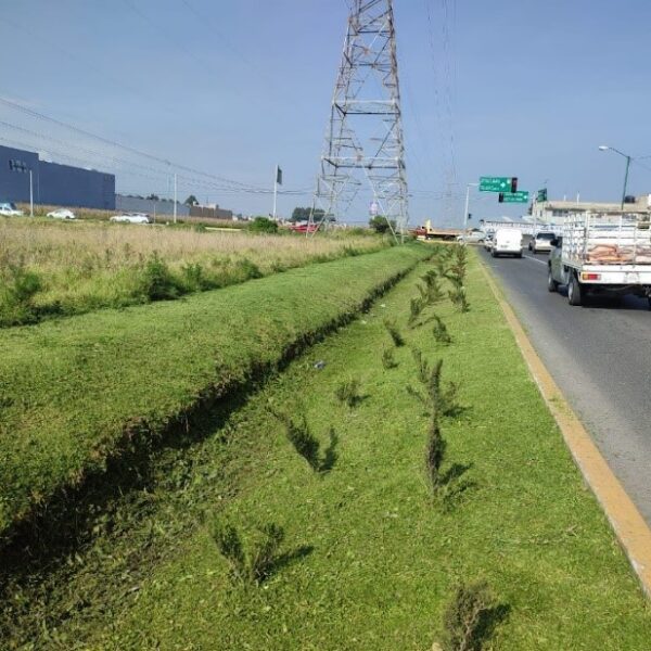 Imagen 7
