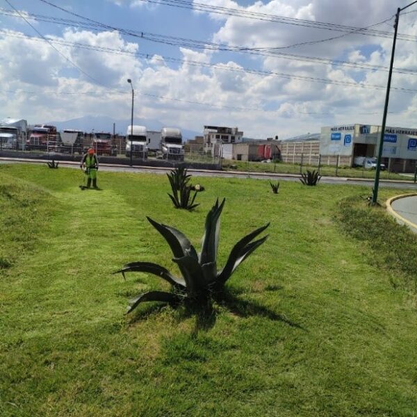 Imagen 8