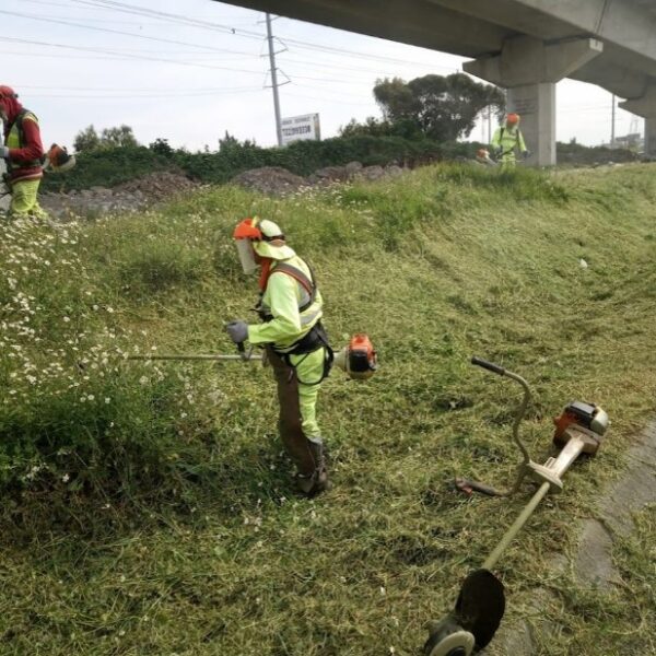 Imagen 13