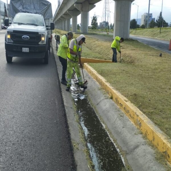 Imagen 7